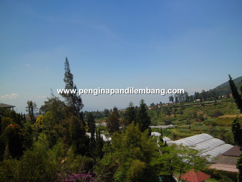 penginapan view bagus di lembang