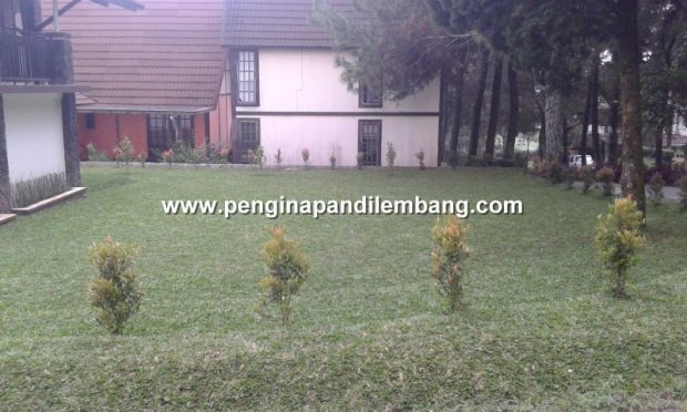 Villa Istana Bunga Villa Blok F No.1 3 Kamar